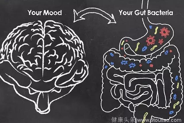 当肠道细菌改变大脑功能时，不自闭不抑郁不焦虑