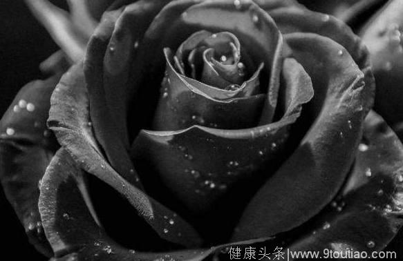 心理学：4朵黑玫瑰，哪朵最惊艳？秒测出你未来两个月的运势如何