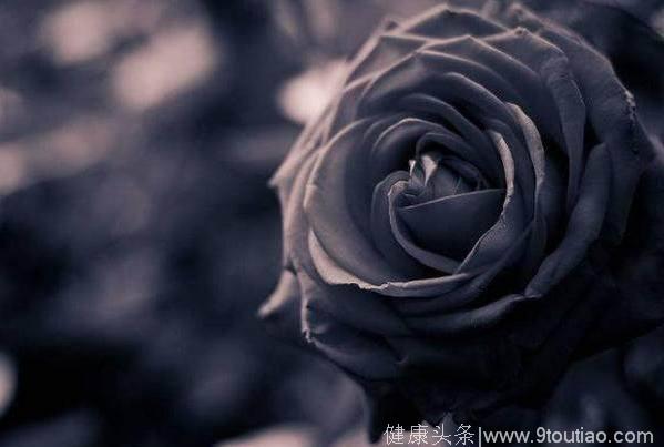 心理学：4朵黑玫瑰，哪朵最惊艳？秒测出你未来两个月的运势如何