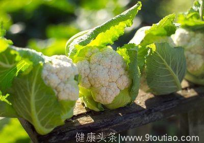 恶性肿瘤最怕六种食物 医生说这个年龄一定要多吃