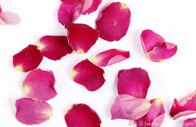 心理学：哪种玫瑰花瓣最好看？测试你在异性眼中的魅力值！