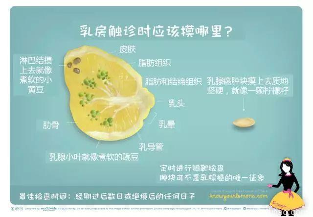 12颗柠檬，全面读懂乳腺癌！