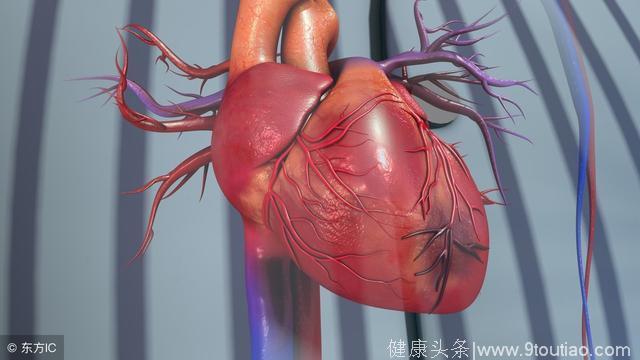 冠心病十大危险因素，为什么要作冠状动脉造影
