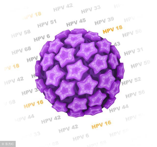 人乳头瘤病毒（HPV）会影响女性怀孕吗？
