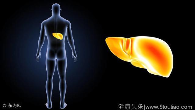 9个症状需警惕脂肪肝，越早发现越好！