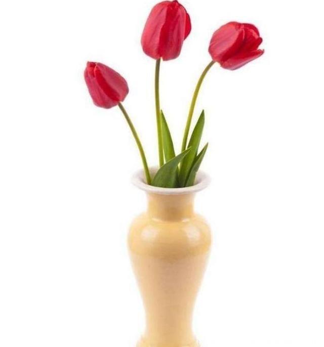 心理学：哪个花瓶里的水是满的？测你哪方面的智慧最高？
