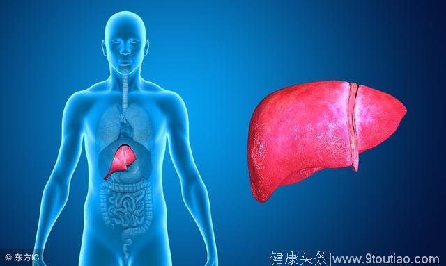 身体出现5个信号 肝脏已堆满脂肪 2种食物 强力刮掉脂肪