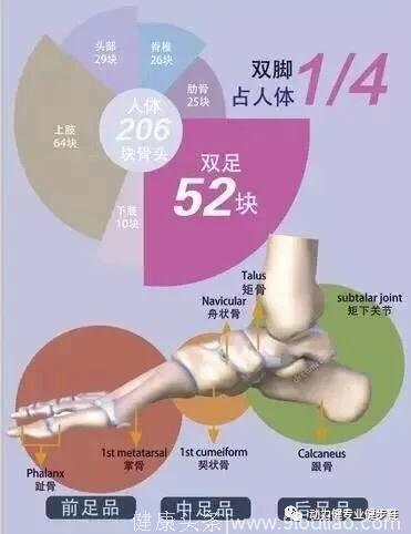 足是人之跟，好鞋能养生