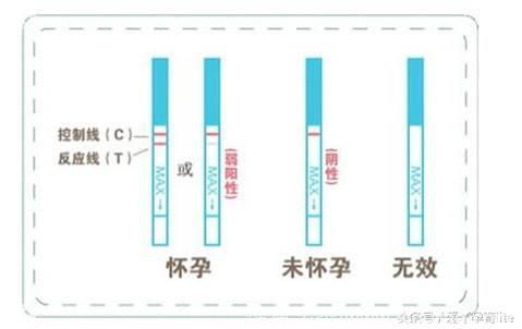 怀孕40周最全孕检时间表，超实用详细哦~