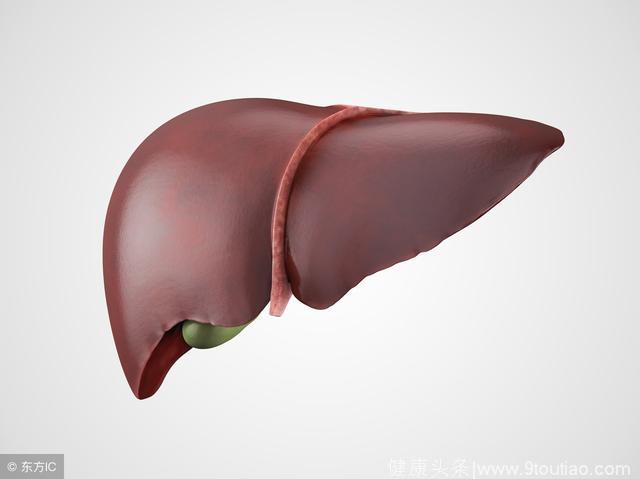 什么是肝脏穿刺活检术？是一种活体检查手段，意义重大
