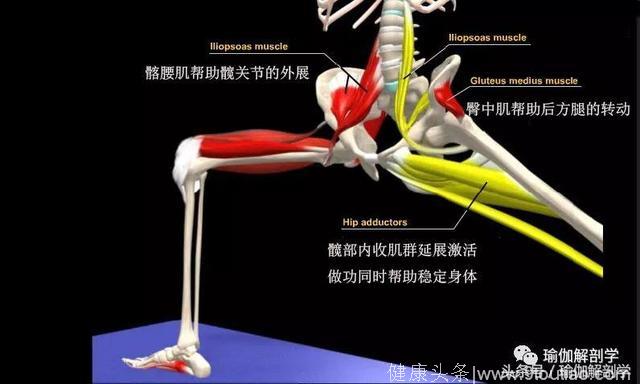 瑜伽战士2式的5大解剖要点，初学者尤其要注意了！