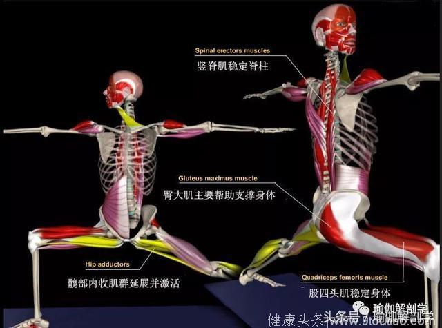 瑜伽战士2式的5大解剖要点，初学者尤其要注意了！