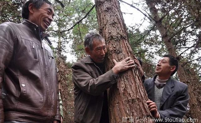 贵州患癌夫妇带领家人坚持33年种树30万棵，癌症奇迹般消失
