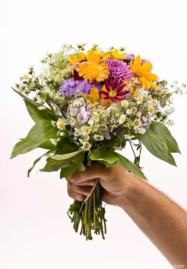 心理学：四束花，你想把哪束摆在客厅？测出这辈子谁最爱你？