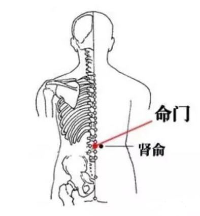 牢记这7个穴位，可有效解决大部分疾病！