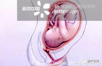 怀胎十月孕妈子宫大变化
