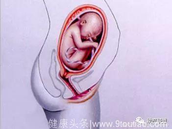 怀胎十月孕妈子宫大变化
