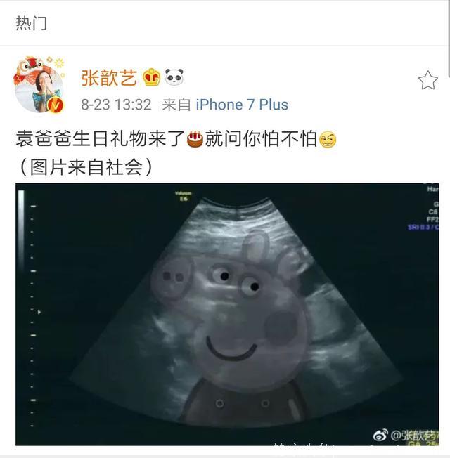 张歆艺公开怀孕，盘点娱乐圈的甜蜜夫妻档