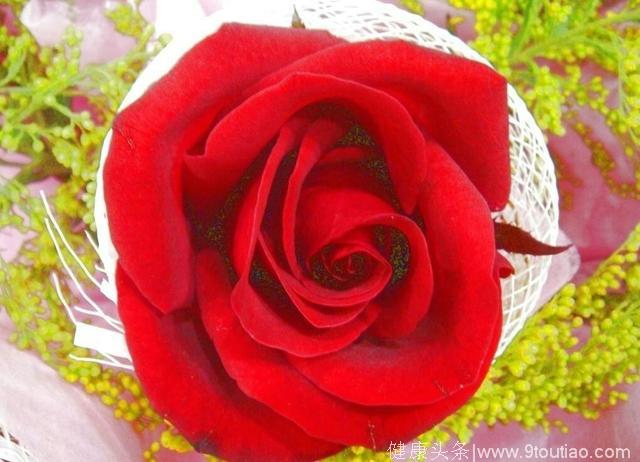 选一朵你最喜欢的玫瑰花，看看你是不是一个好命的女人吧？