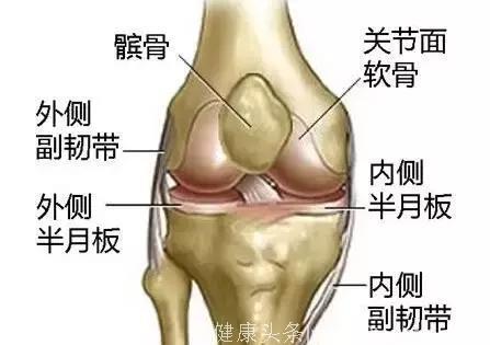 最新膝盖使用说明书，你的膝盖使用是否正确？