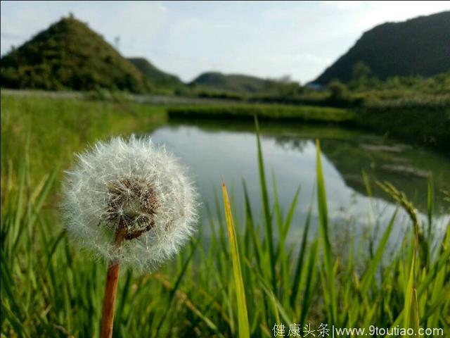 抑郁症患者，蜕变后的美丽！放下该放下的！拿起该拿起的！