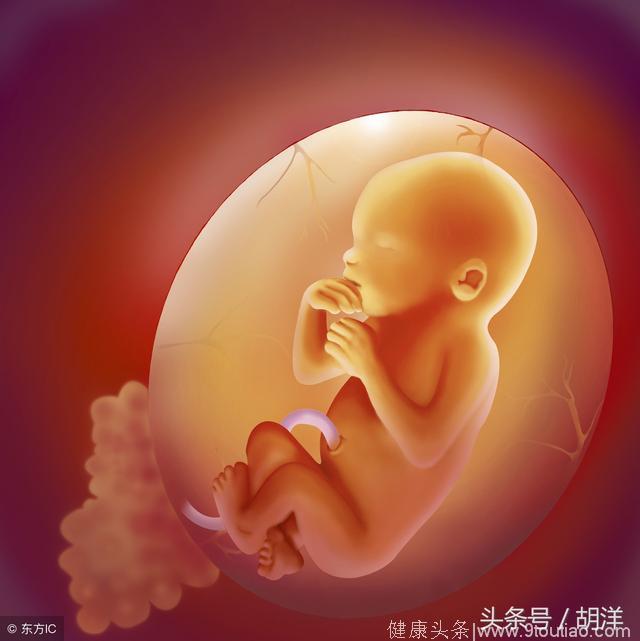 子宫并没有强大的屏障作用，新研究表明PM2.5可进入胎盘影响胎儿