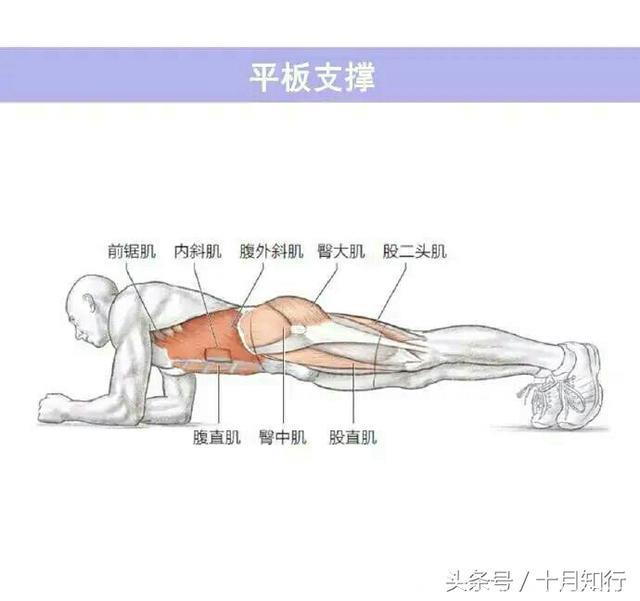 从易到难练腹肌，9个动作，助你练出强大核心，虐出腹肌马甲线