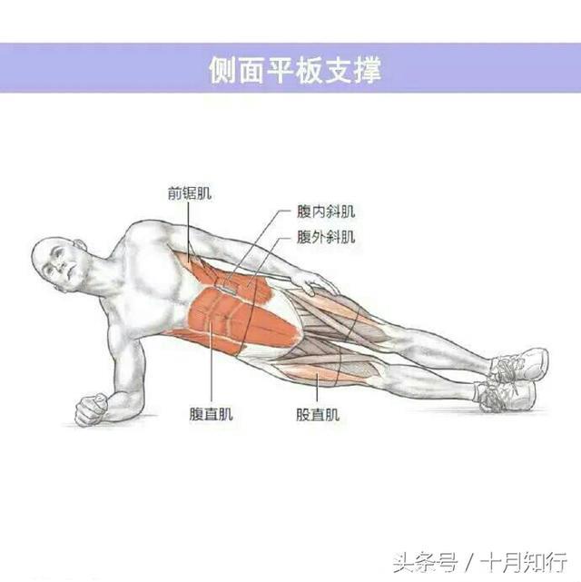 从易到难练腹肌，9个动作，助你练出强大核心，虐出腹肌马甲线