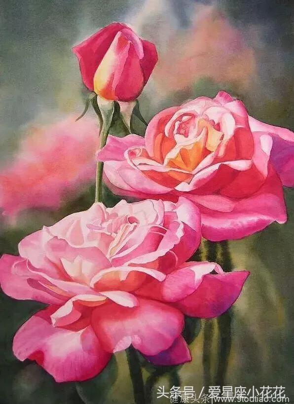 心理测试：你喜欢哪一朵手绘的玫瑰花，测你在对方心中有多重要