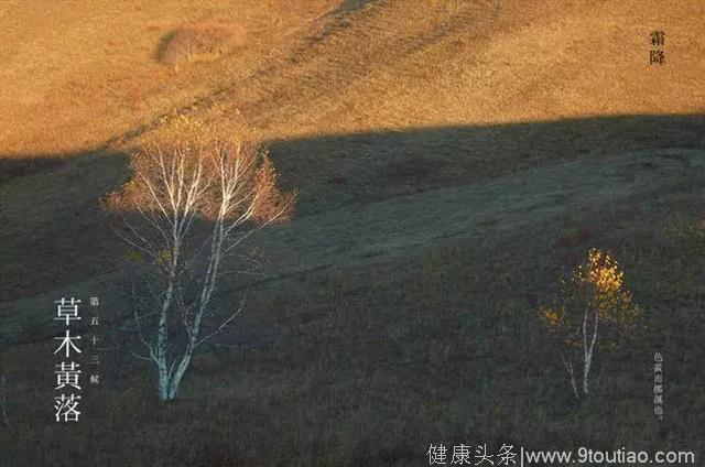 今日霜降丨一年补透透，不如补霜降，一年中最重要的养生时机！