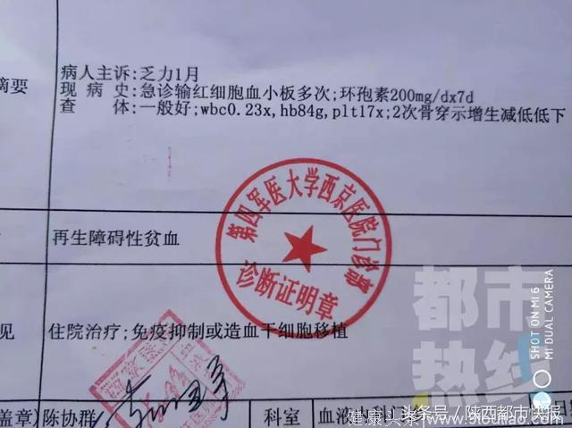 以为是感冒 医院一查竟要接受干细胞移植！单亲妈妈：不能倒下