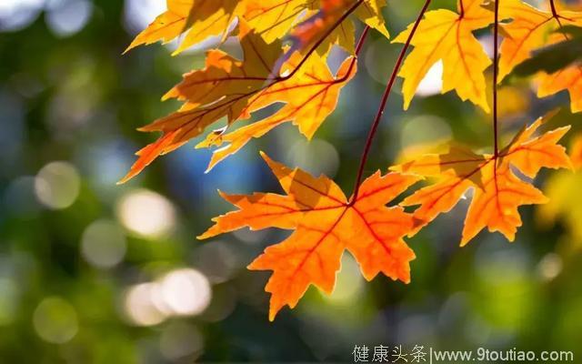 中医讲究“四时养生”，那么秋季又该如何养生呢？