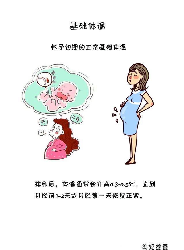 怀孕初期：体温的变化规律，孕妇体温比正常人高