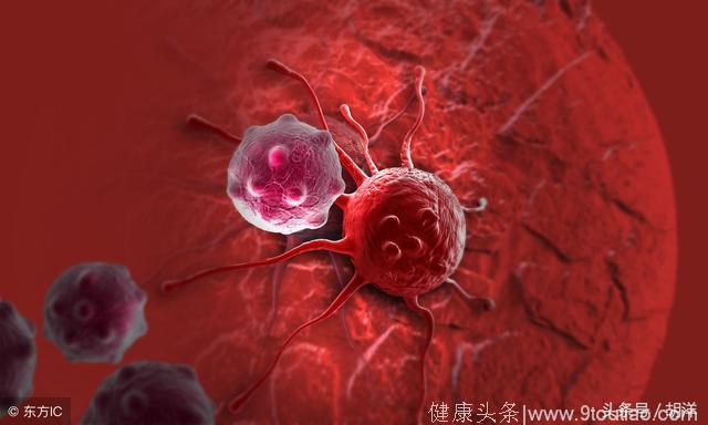 正常细胞是如何转变成恶性细胞的，是什么出了问题导致癌细胞诞生