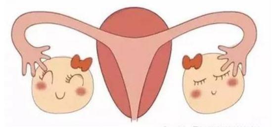 排卵期同房最易怀孕？如果这些地方出了问题，你同样难以受孕！