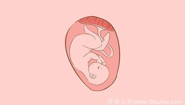 孕期同房时，胎儿会有什么样的感受？第一个很逗