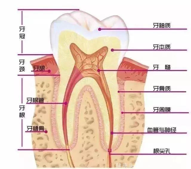 正畸方案制定为什么一定要先拍牙片？