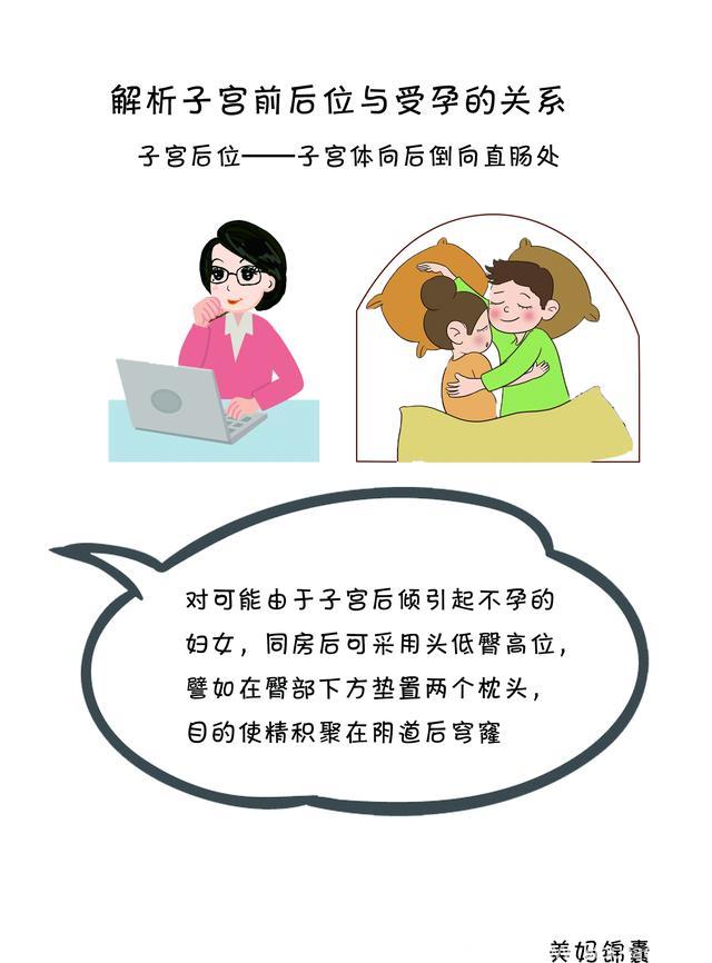 女性子宫位置与受孕的关系