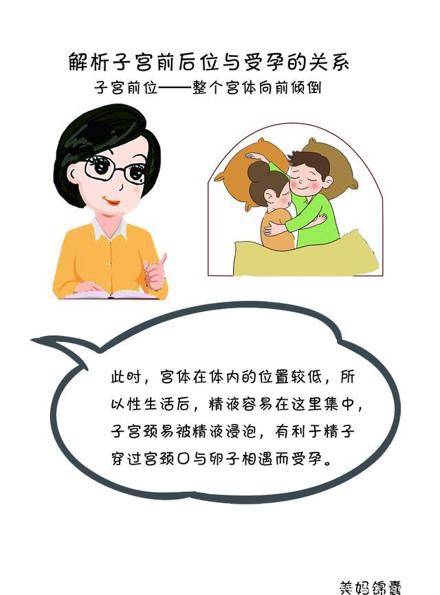 女性子宫位置与受孕的关系