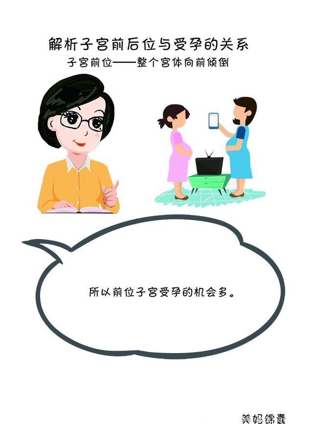 女性子宫位置与受孕的关系