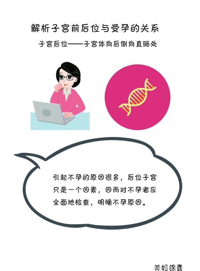 女性子宫位置与受孕的关系