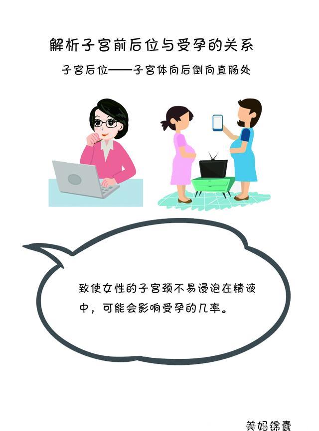 女性子宫位置与受孕的关系