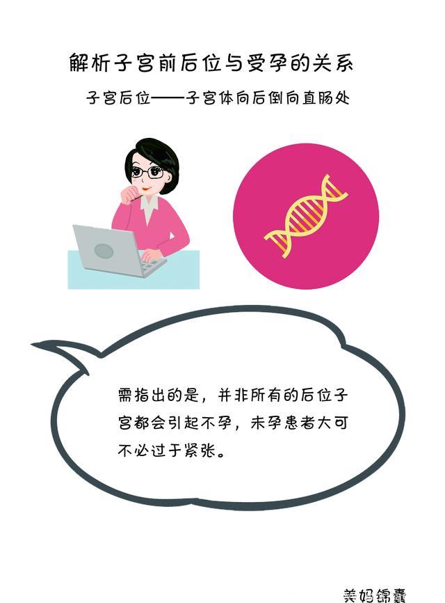 女性子宫位置与受孕的关系