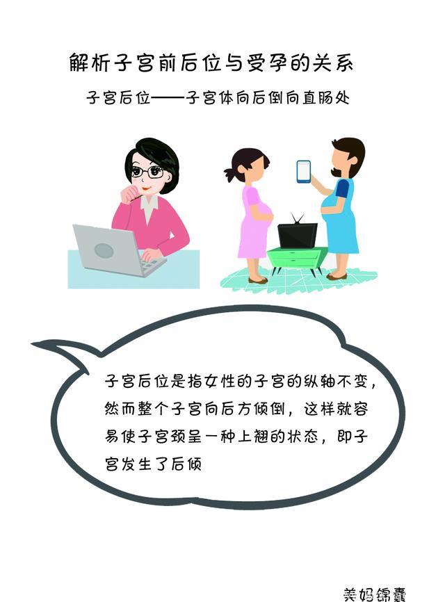 女性子宫位置与受孕的关系