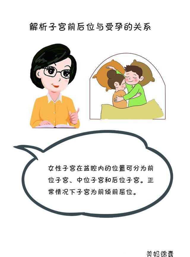 女性子宫位置与受孕的关系