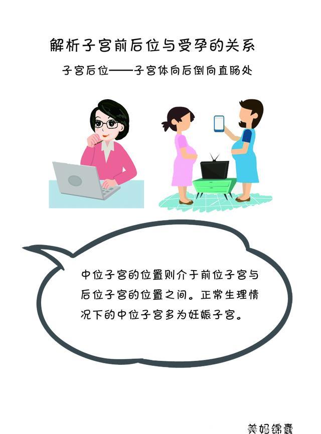 女性子宫位置与受孕的关系