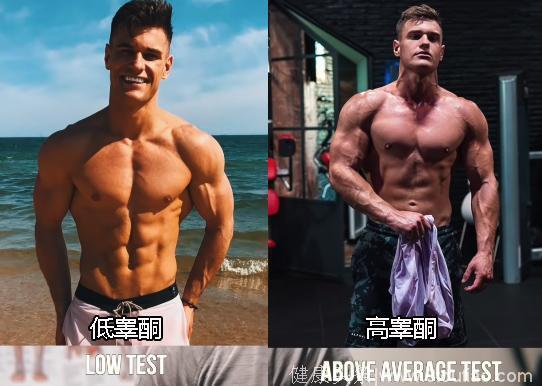 肌肉男身材越好“状态”越差，好看与实用你选哪个？