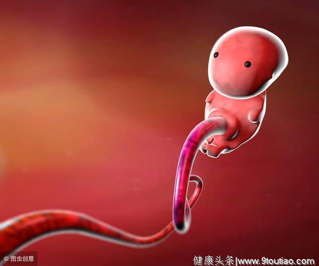 怀孕多久会有胎动，什么时候胎动最频繁？3种情况详解胎动规律