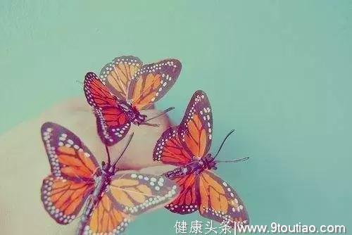 心理测试：哪只蝴蝶最漂亮，测你们能相伴一生吗？
