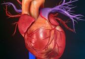 六项注意防心肌梗塞，也防心脏骤停